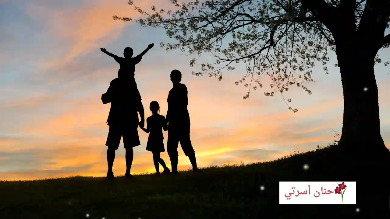 السعادة الزوجية