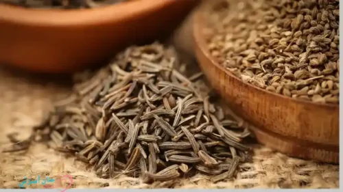 فوائد الكراوية للإمساك عند الرضع