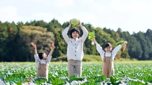 كيف تؤثر الخضروات والفواكه على صحت الأطفال