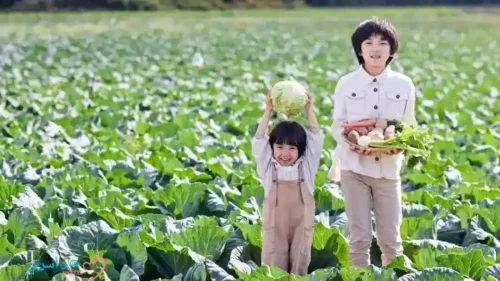 تؤثر الخضروات والفواكه للأطفال