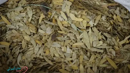 أعشاب للإمساك