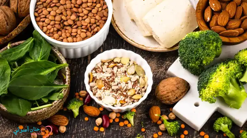 بديل الدجاج واللحم للأطفال