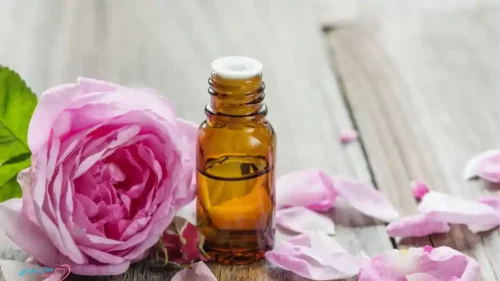 زيت الورد لاستخداماته وفوائده المذهلة للبشرة والشعر 2025