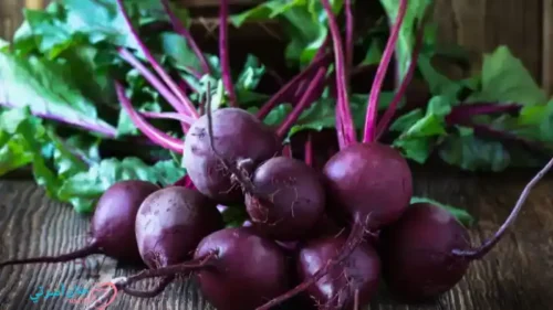 الشمندر للرضع والأطفال | الفوائد، الأضرار، وطريقة التقديم