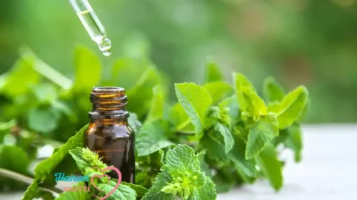  زبت النعناع لشد الجسم المترهل 