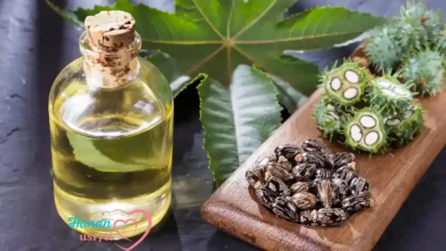 فوائد زيت الخروع للوجه قبل النوم فوائد مذهلة 