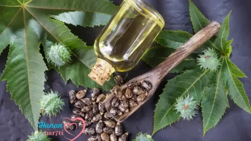 كيفية استخدام زيت الخروع للبشرة دليل شامل للحصول على بشرة نضرة 