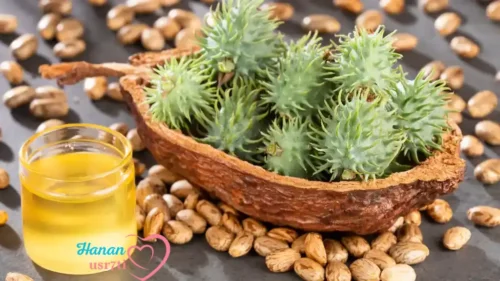 استخدام زيت الخروع للبشرة 