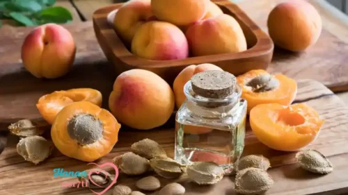Skin Benefits of Apricot Oil