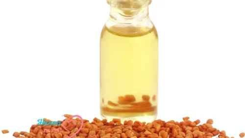 زيت الحلبة لتسمين الوجه دليل شامل 2026 