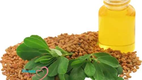 زيت الحلبة لتسمين الوجه 