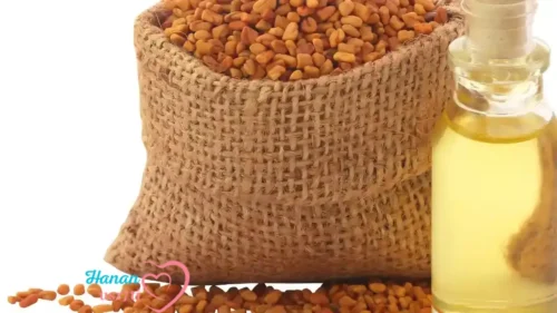  زيت الحلبة للوجه والبشرة دليل شامل 2026