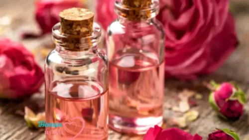 Rosehip Seed Oil Benefits for Hair The Complete Science