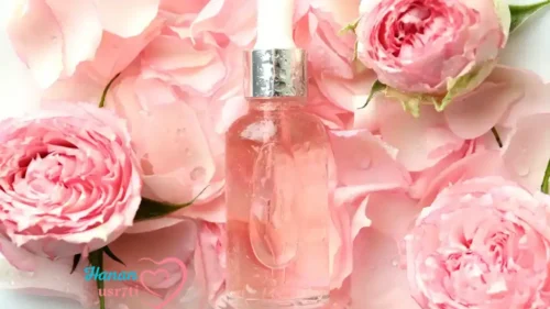 Rosehips Skin Benefits 