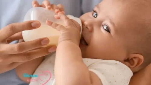 Breastfeeding vs. Bottle Feeding