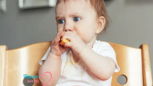 Baby Food Guide Starting Solids Safely, Step by Step