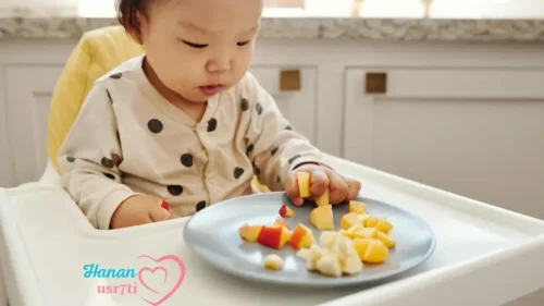 Best Snacks for a 9 Month Old