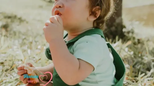 Snacks for a 9 Month Old