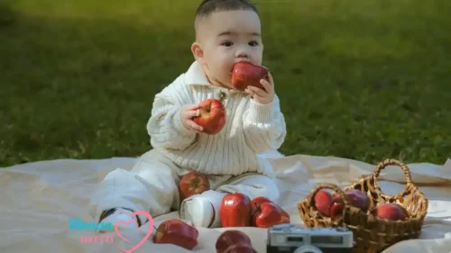 Best Snacks for an 8 Month Old 